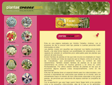 Tablet Screenshot of plantascrasas.com